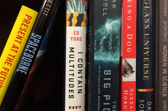 books on a bookshelf