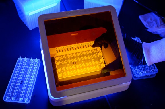 To Survive on Mars, BYO Bacteria