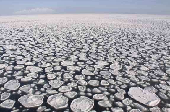 From the Arctic to Enceladus: A Celebration of Unusual Ice