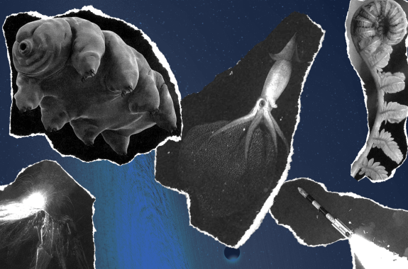 EXTRA! EXTRA! It’s Time For #SciFriTrivia!