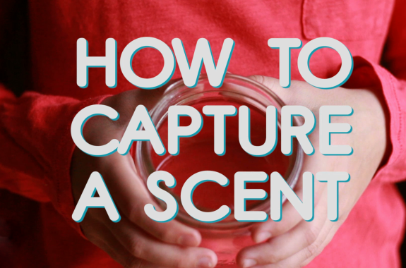 How To Capture A Scent