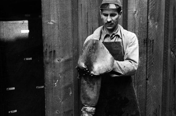 John Steinbeck And The Mystery Of The Humboldt Squid