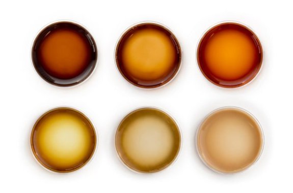 The Sunscreen Of The Future