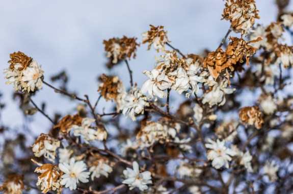 How Will Climate Change Hurt The American Economy? Depends On Where You Live