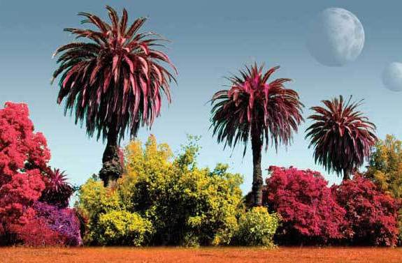 Six Bestselling Authors Share Their Favorite ‘Other Worlds’