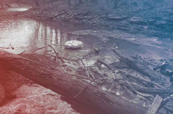 Coal Ash Pollution In Kentucky Lake Is Worse Than Expected