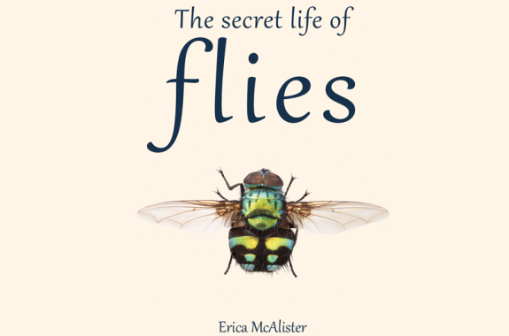 The Unexpected Pollinator Of The Cocoa Tree