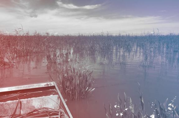 The Battle Of Coastal Restoration In Louisiana