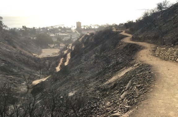 completely dried out burnt trail at the Ventura Botanical Gardens