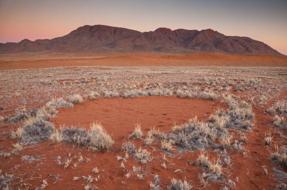 The Mystery Of The Namibian Fairy Circles