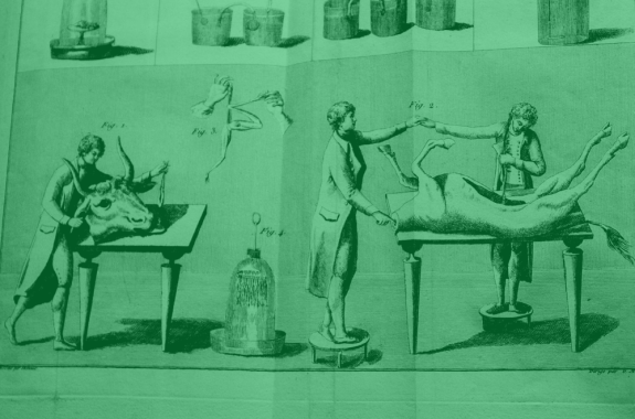 scientists doing electrical experiments on an ox. green filtered