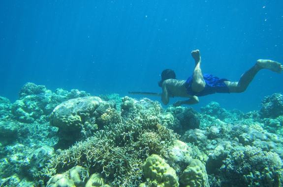 Bajau diver
