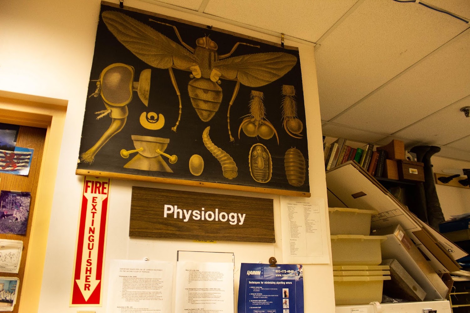 a poster of a bunch of insect anatomy above a sign that says "physiology"