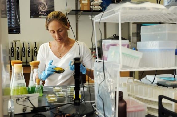 rachel noble plating agars of water samples to test for e. coli in a lab
