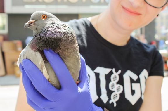 a woman holding a pigeon