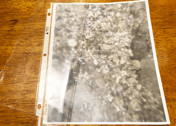 the background of the sea bed in the sheet protector