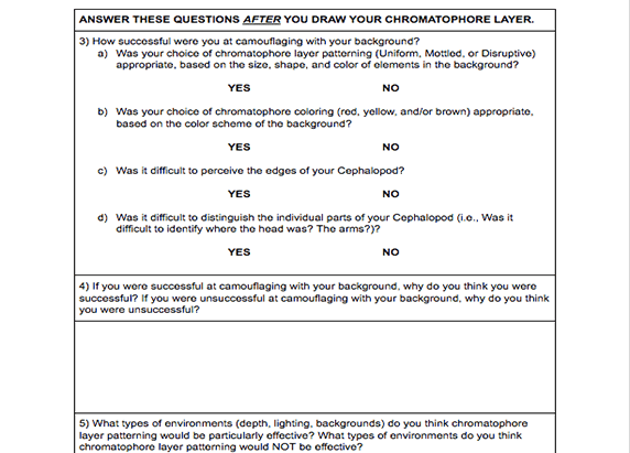 screenshot of the worksheet