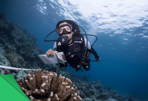 Survey Ecosystem Health On A Virtual Coral Reef