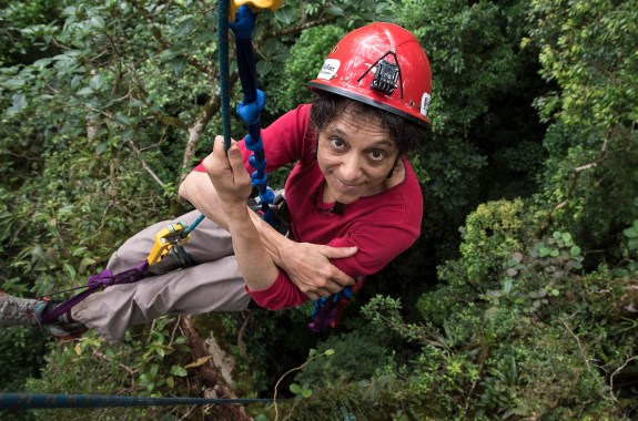 Nalini Nadkarni suspended in the forest canopy wearing a hard hat in Monteverde, Costa Rica