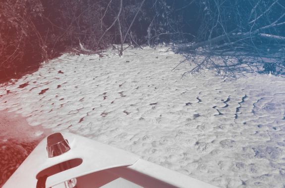 photo shot from boat looking onto sand tinged with a black substance
