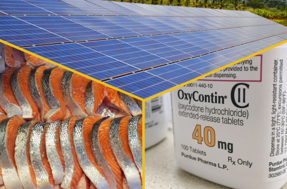 three images, of solar panels, salmon at a fish market, and a pill bottle labeled "oxycontin"