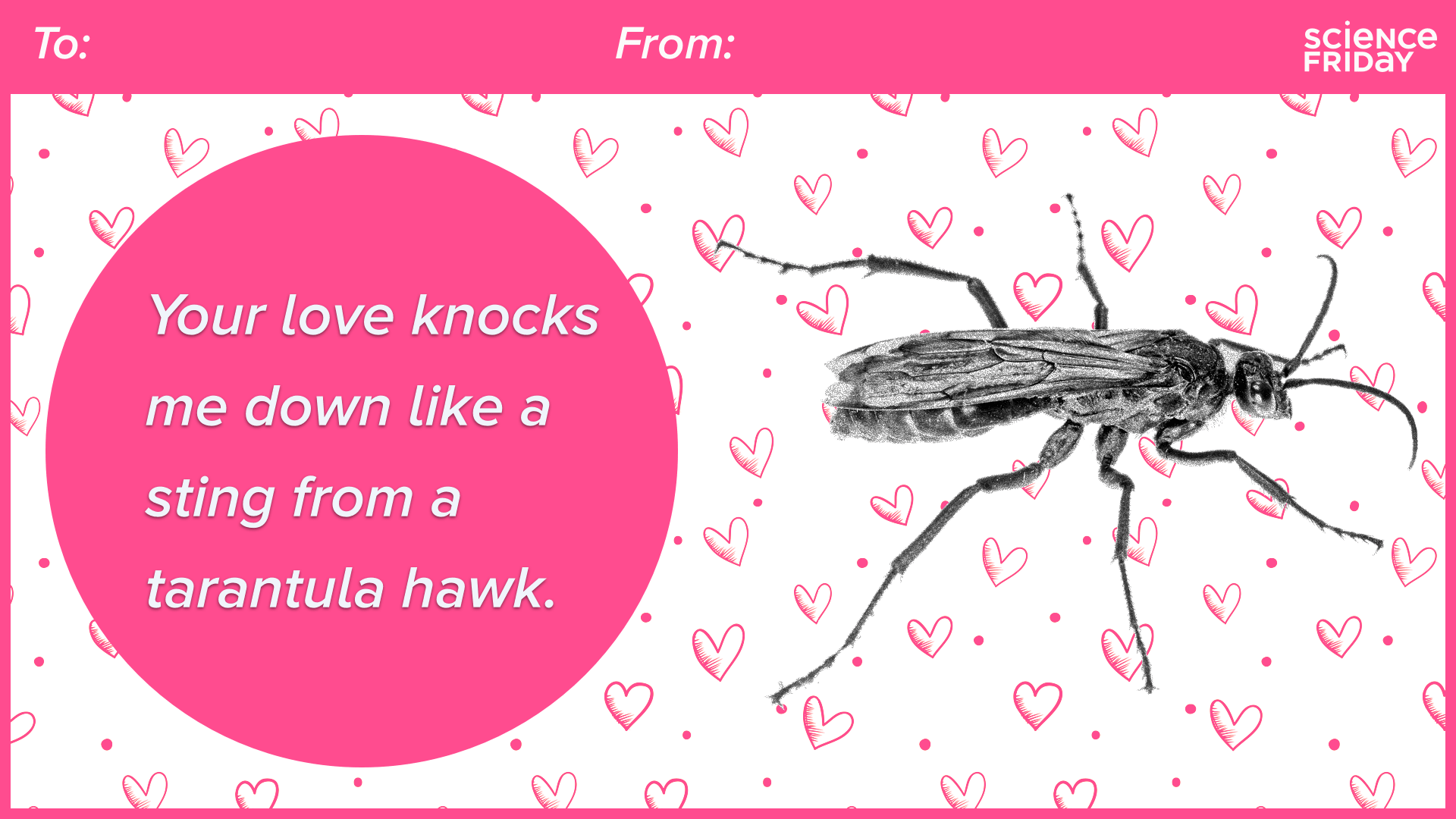 an intimidating looking insect with text 'your love knocks me down like a sting from a tarantula hawk.'