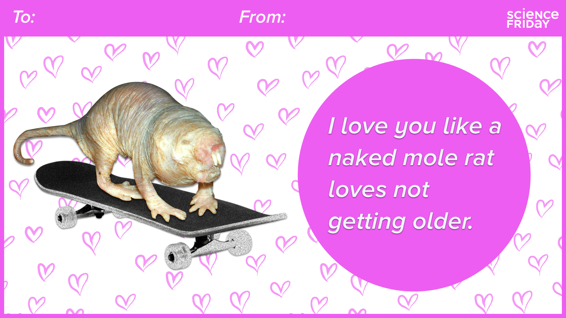 a naked mole rat riding on a skateboard with text 'i love you like a naked mole rat loves not getting older.'