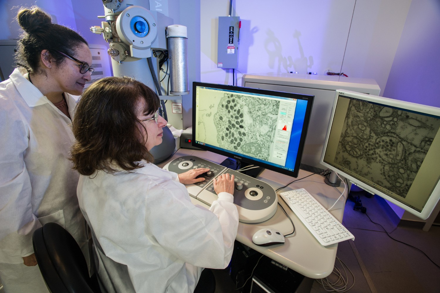 two women working on computers examining microscope images of viruses. the woman sitting controlling the computer is goldsmith