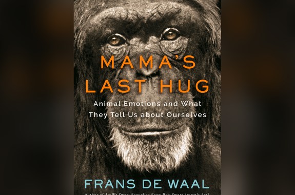 The Many Emotions Of Animals