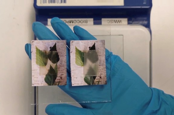 a gloved hand in a lab, holding two transparent materials over the same picture of leaves. Underneath the material on the left, you can see the leaves somewhat clearly; under the material on the right, the image is more blurred