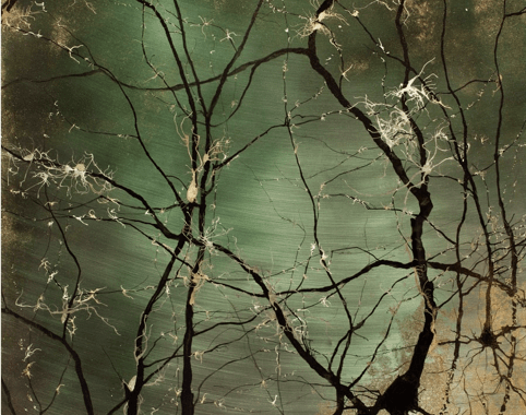 greenish landscape with what could be either branches or neurons firing in black and gold ink on top