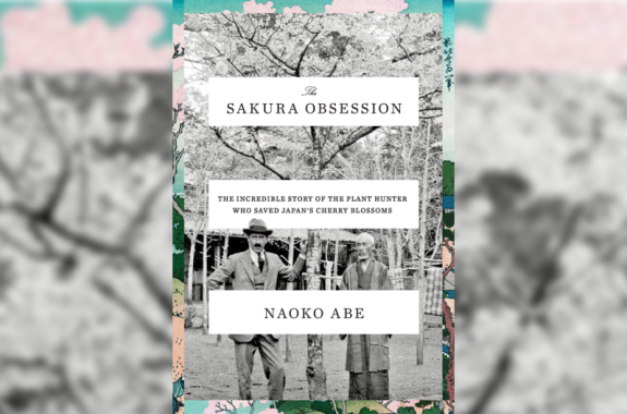 book cover with black and white tree branches and light pink, delicate sakura flowers in the background with man standing in the foreground