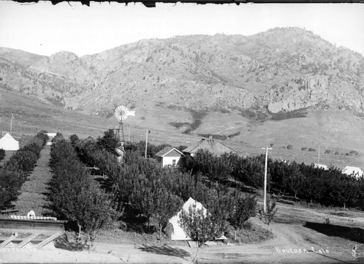 an apple orchard, littered with tents, at the foot of the rocky mountains