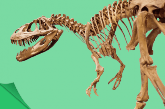 a t-rex dinosaur skeleton