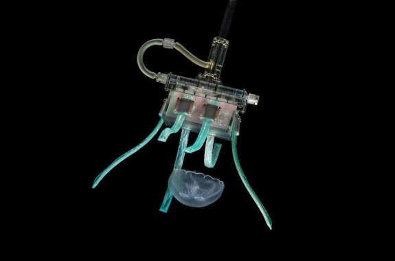 robot with noodle-like arms and a whitish jellyfish floating underneath it against a black background