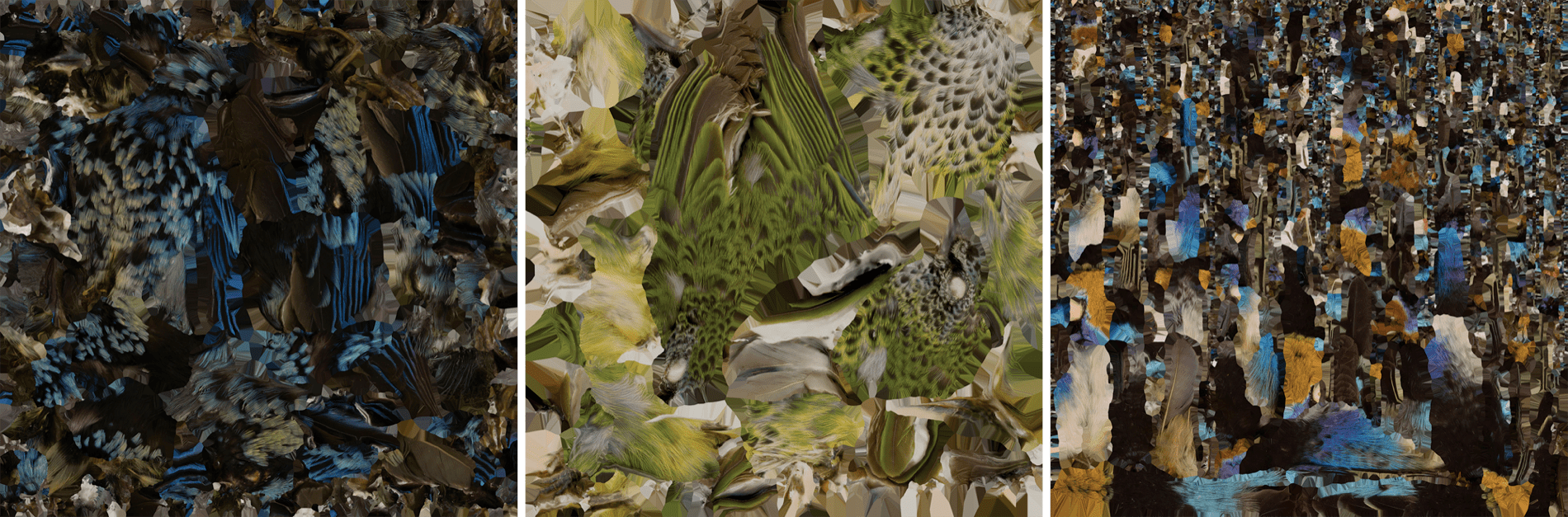 three squares of different 3D models unzipped, and laid flat. on the left, the plumage of the 3D model is blue and black. the middle, the plumage is green and yellow and gray. the right, the plumage is blue, white, black, gold.