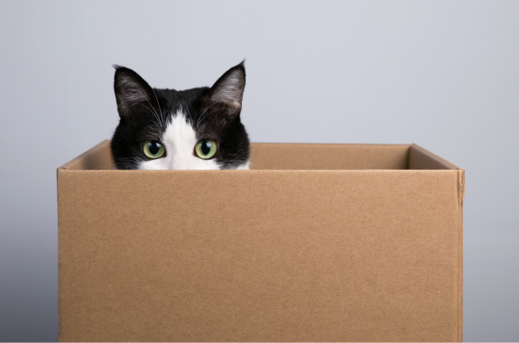 a black and white cat peeking its eyes up from a cardboard box