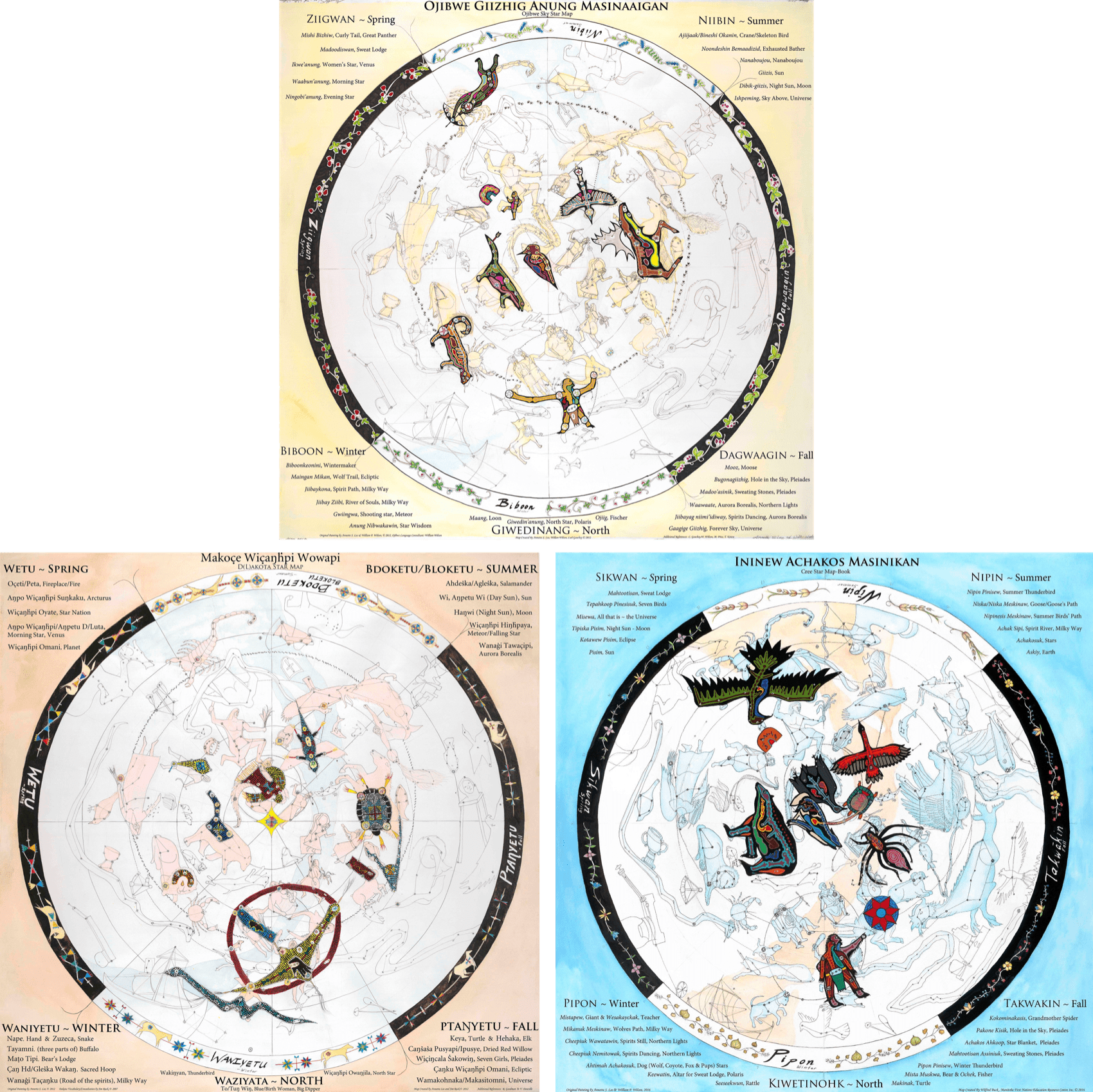 three star maps with greek constellations in muted colors with indigenous constellations in bright colors painted on top, including images of birds, spiders, fishers, and bears