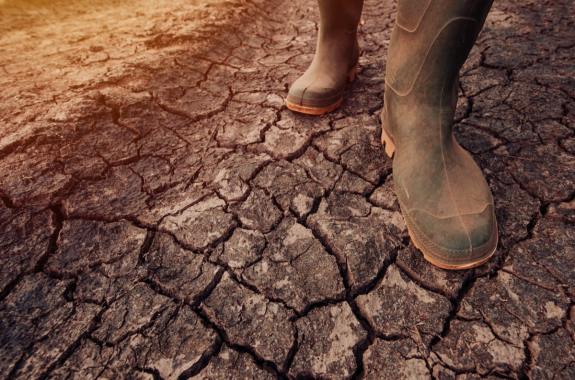 Farmer walking on dry soil