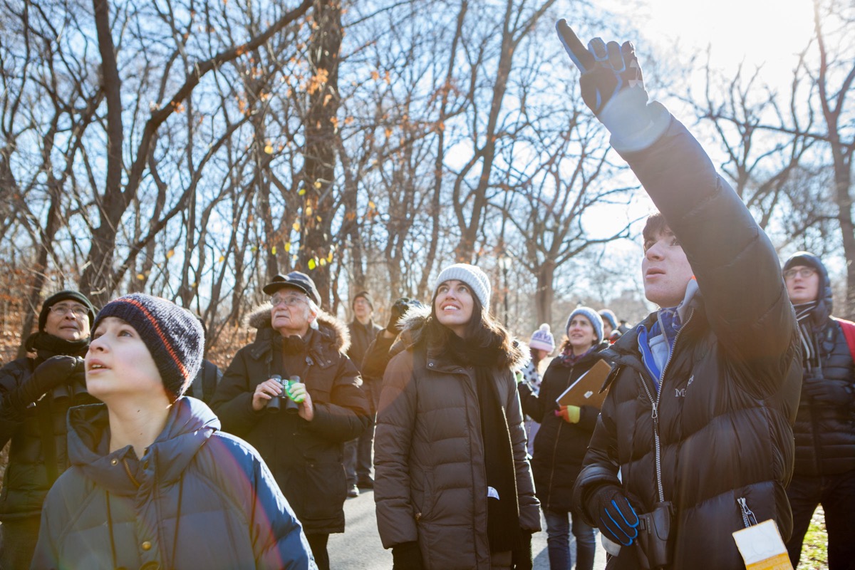 birders of all ages excitedly point and gaze up at bird in the winter
