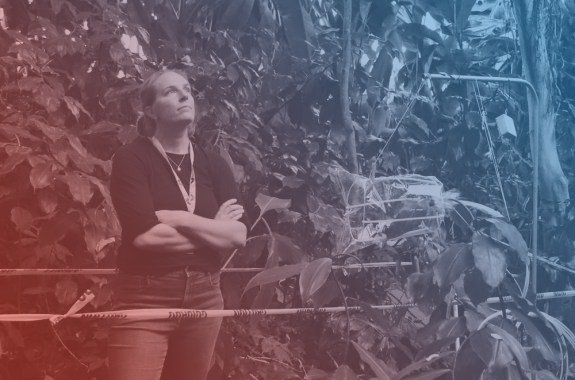 a red and blue filtered image of a woman with science gear stands at the bottom of a rainforest floor looking up at the canopy
