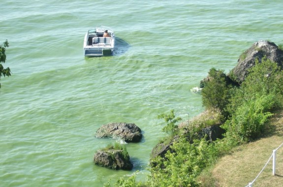 a boat on a green algae filled lake
