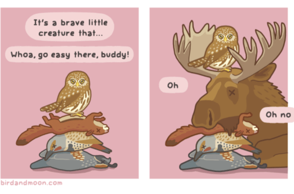 a colored comic of an owl atop its prey