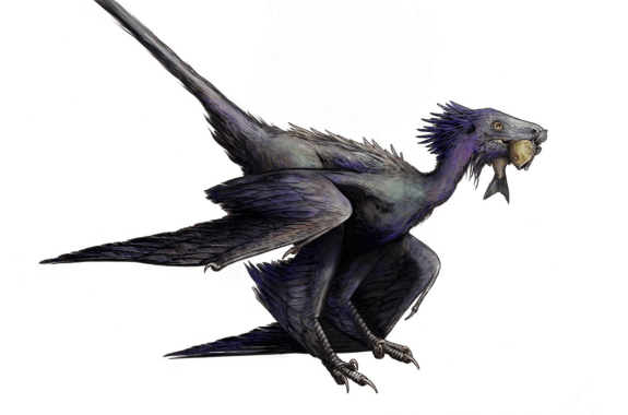 an illustration of a winged dinosaur with a long tail and a fish in its mouth