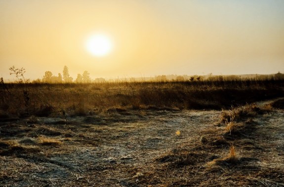 the sun casts an mustard glow over a dusty field. a brown haze hands in the air