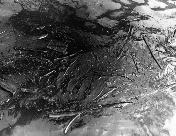 a slick of oil on a river