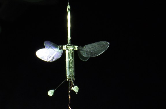 a tiny robot with wings