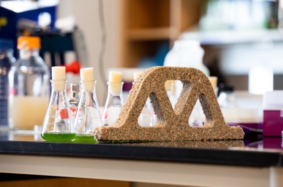 a brown arch that looks like it's made of grainy sand. it's on a lab bench next to two flasks of green liquid