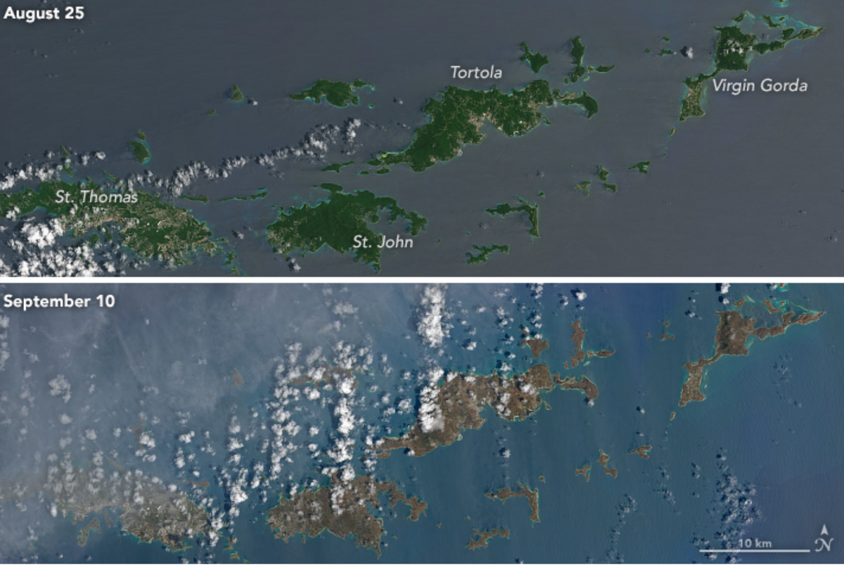 two satellite images showing the effects of a hurricane. on the top is the image before the hurricane, showing the islands of the Caribbean a lush green. after the hurricane the islands are more brown