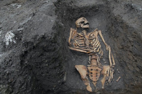 human skeleton remains excavated in the earth